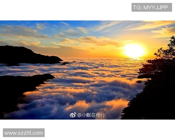 烈日下的追寻与流浪者的坚持交织成的生命之歌